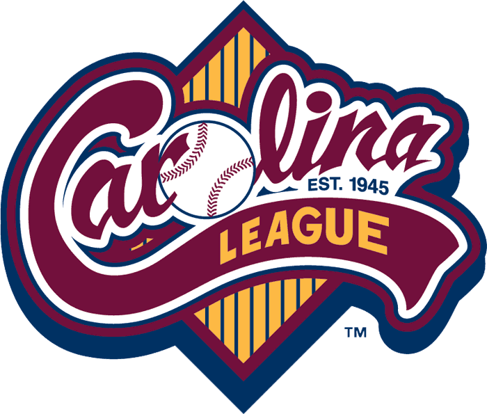Carolina League 1995-pres primary logo iron on heat transfer